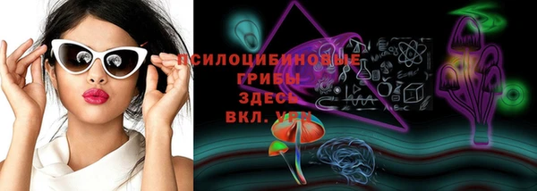 прущие грибы Алексин