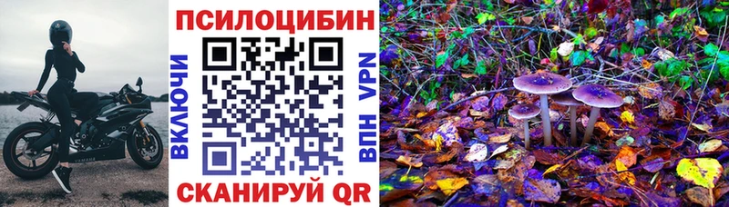 Псилоцибиновые грибы Cubensis  Бикин 