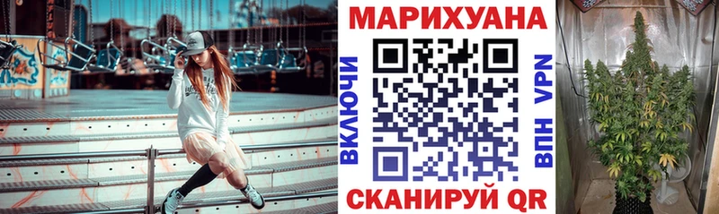Канабис OG Kush Бикин
